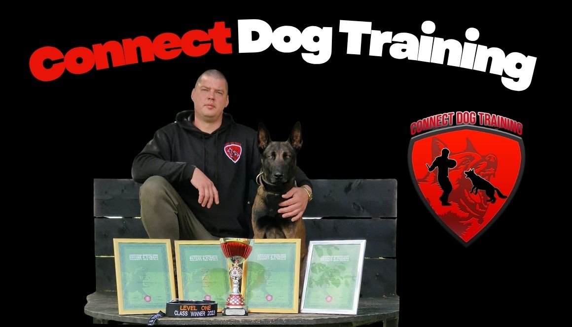 Coonnect Dog Training