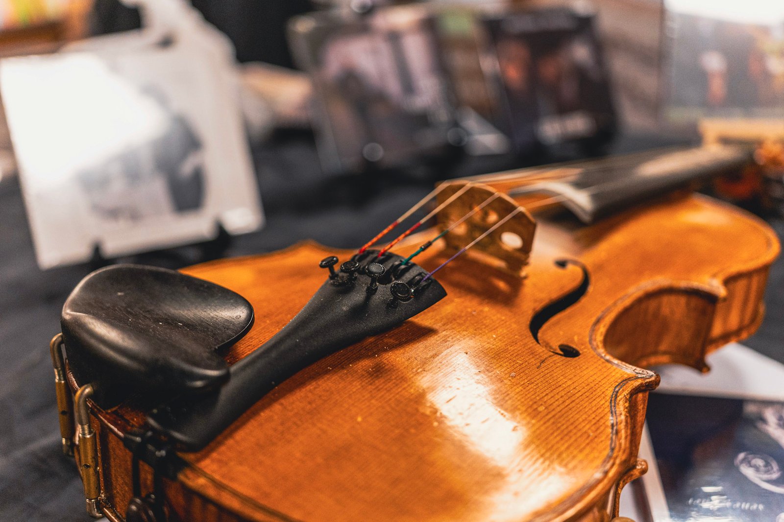 Detailed photograph of Gerry O'Connor's violin at Roe River Books